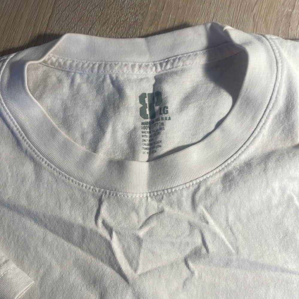 Shoreline Projects - image 2